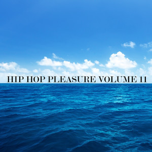 Hip Hop Pleasure, Vol. 11