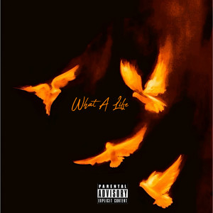 What A Life (Explicit)