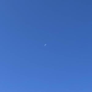 for jordan (Explicit)