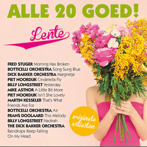 Alle 20 Goed - Lente