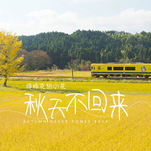 秋天不回来-弹棉花的小花
