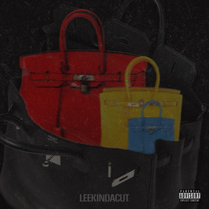 Bag of Birkins (Explicit)