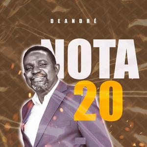 NOTA 20