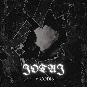 VICODIN (Explicit)