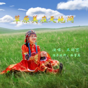 草原美在天地间