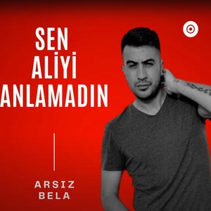 Sen Aliyi Anlamadın