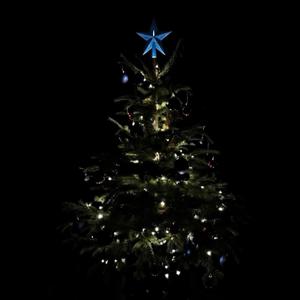 Christmas Trend 2025