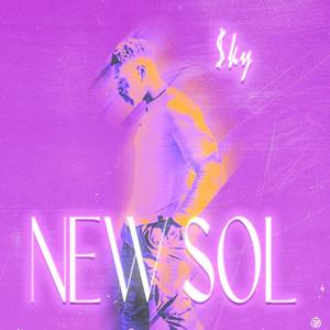 New Sol (Explicit)