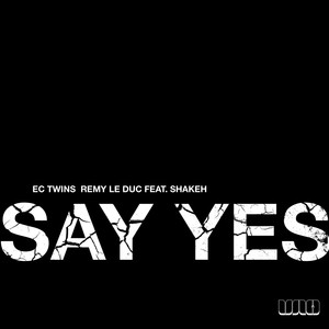 Say Yes(feat. Shakeh) (Zen Freeman Mix)