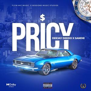 PRICY (feat. Sandie) [Explicit]