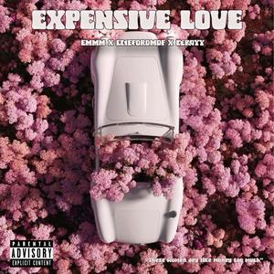 Expensive Love (Explicit)