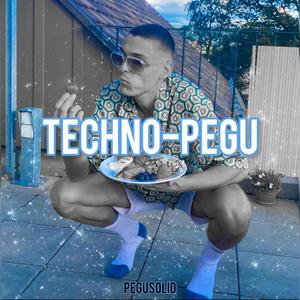 Techno Pegu