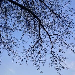 Albert Amponsah - Wokeupnb! (Explicit)