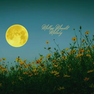 Mellow Moonlit Melody