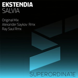 Salvia (Ray Saul Rmx)