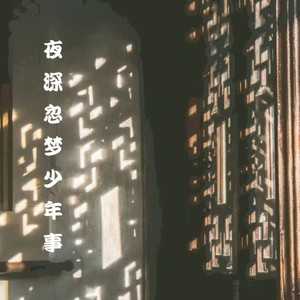 夜深忽梦少年事