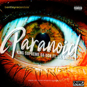 Paranoid (Explicit)