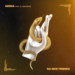 No New Friends(feat. VL Disappear) (Explicit)