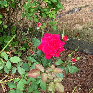 how can i make you mine? (Sped up)