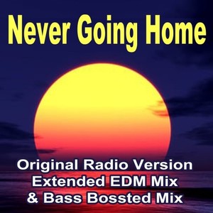 Never Going Home (Original Radio Version)