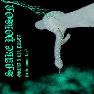 Snake Poison(feat. Lil Parta) (Explicit)