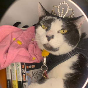 FED UP W THE HATE (Explicit)