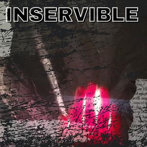 Inservible