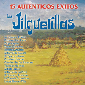 15 Auténticos Exitos