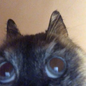 Do It All Again (Explicit)