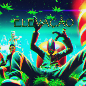 Elevação