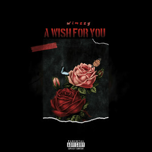 A Wish For You (Explicit)