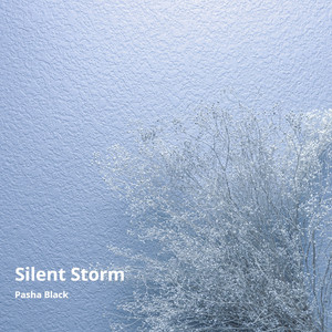 Silent Storm (Instrumental)