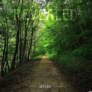 Revealed (Explicit)