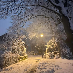 grim (feat. sladewyd) (Explicit)