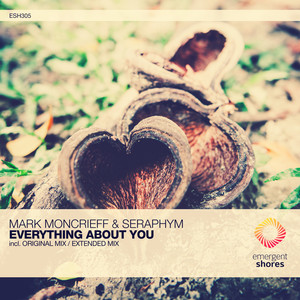 Everything About You