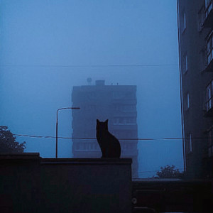 the memories we made