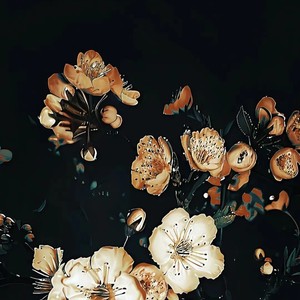 向日葵也会放弃太阳 (伴奏)