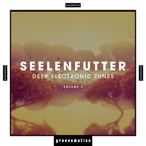 SeelenFutter (Deep Electronic Tunes) , Vol. 2