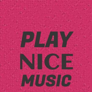 Play Nice Music