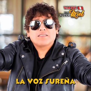 Jarabe De Miel (Original)