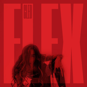 Flex (Explicit)