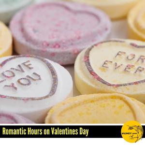 Romantic Exile(Solo Piano in C Sharp Minor)