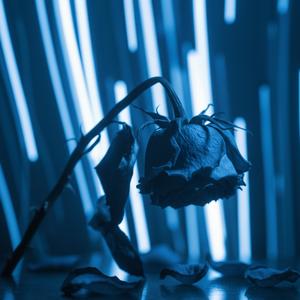 Padahal (Remastered)