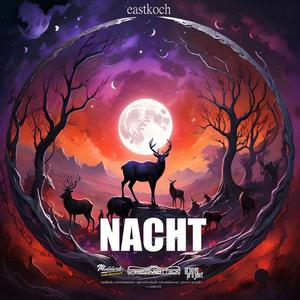 Nacht