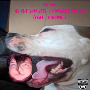As the Sun Sets, I Consider My Life (feat. Daphne The Dog) (Explicit)