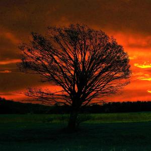 With Every Light (Explicit)