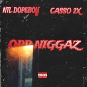 OPP NIGGAZ (feat. NTL DOPEBOY) (Explicit)