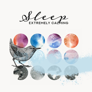 Sleep – Extremely Calming, Relaxing Tracks for Sleeping in the Plane: Nature Sounds