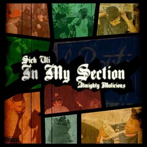 In My Section (feat. Almighty Malicious) (Explicit)