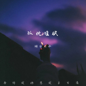 孤枕难眠(告诉我你想我千百遍)封面
